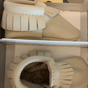 Freshly Picked Moccasin Birch